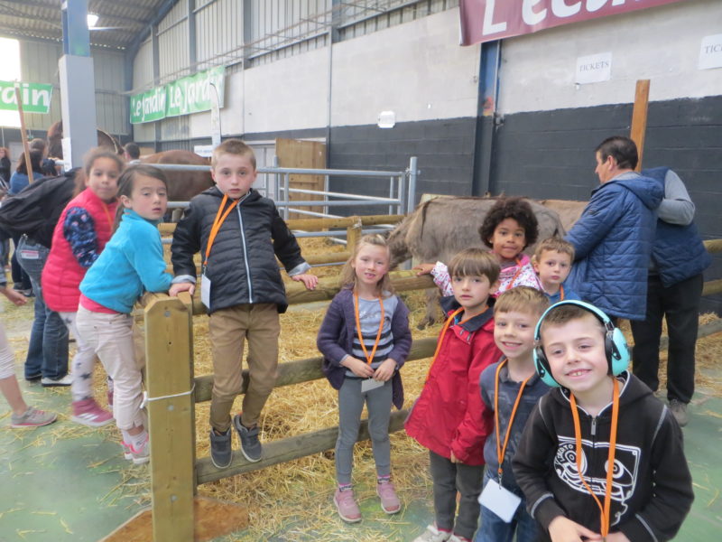 Sortie aux Terralies