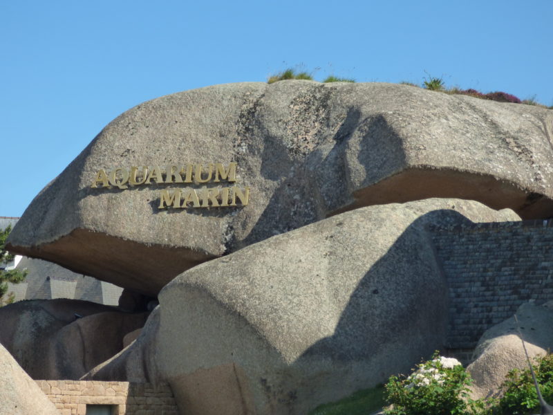 Visite de l’aquarium marin à Trégastel