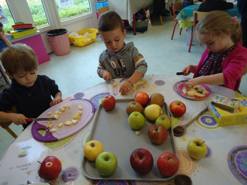 Réalisation d’une compote de pommes en maternelle et dégustation