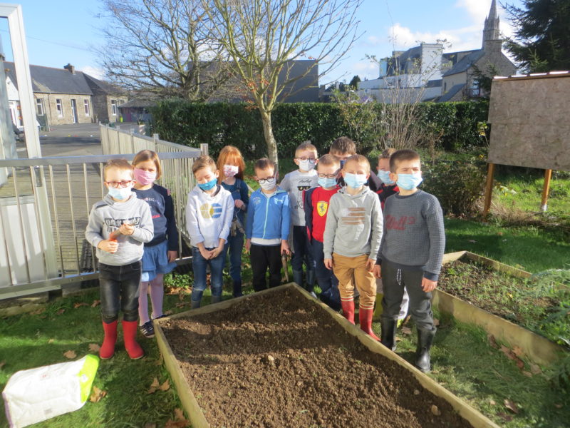 Plantations de bulbes dans le jardin de l’école