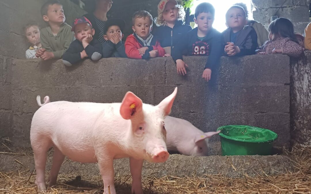 Sortie à la ferme pour les élèves de maternelle