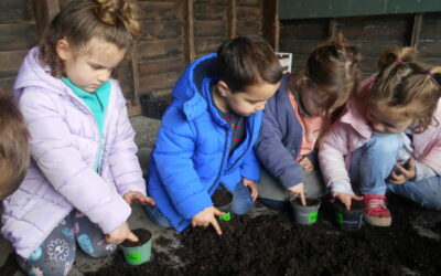 Jardinage en maternelle