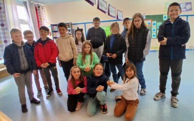 🐣 Une naissance pleine de surprises à l’école !